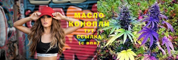 хмурый Горняк