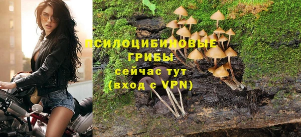 mdpv Горнозаводск